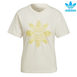Adidas originals T-shirts graphic tee