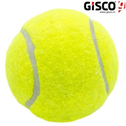 Gisco Cricket Ball Tennis Heavy Duty