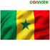 Image for the colour Senegal