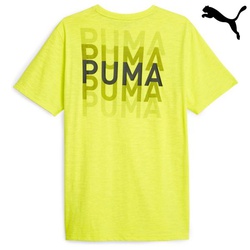 Puma T-shirts r-neck graphic