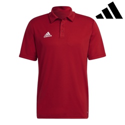 Adidas Polo shirts ent22 s/sleeve