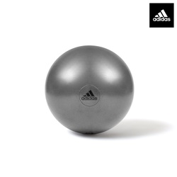 Adidas Fitness Gym Ball Adbl-11245Gr Grey 55Cm