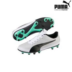 Puma Football Boots Fg Spirit Moulded Snr