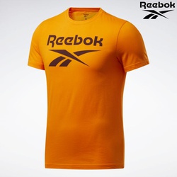 Reebok T-Shirt R-Neck Ri Big Logo Tee