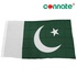 Image for the colour Pakistan