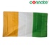 Image for the colour Ivory Coast