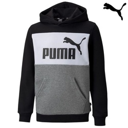 Puma Sweatshirts ess block hoodie fleece
